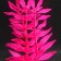 Silicone aquarium plant, glowing in the dark, 8 x 15 cm, pink