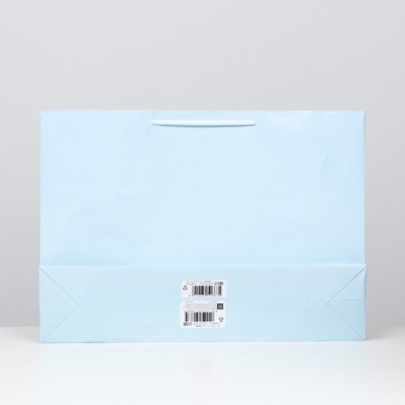 Packet laminated, blue, 38 x 53.5 x 13 cm-1