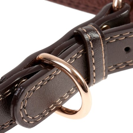 A collar with a gilded sign and fittings, 55 x 2.5 cm, brown-2