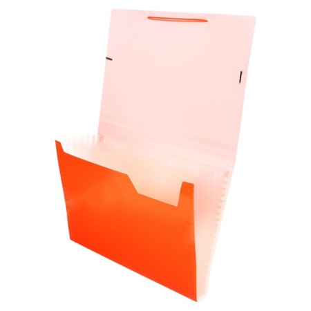 Folder Carder Calligrata Neon 6 department. A4 plastic 0.7mm orange. Cut in color-1