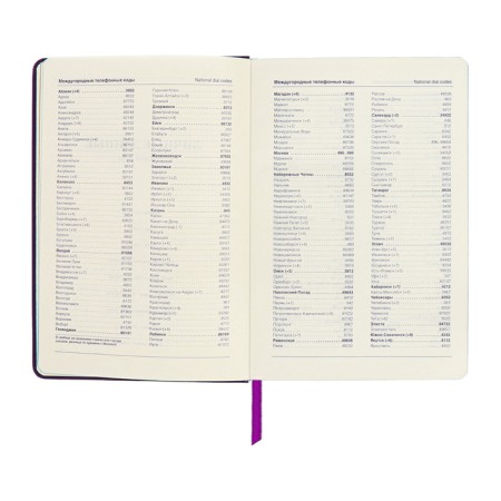 Leduced Diary A5, 140l, cage, leatherette, elastic band, blue cut, purple-7