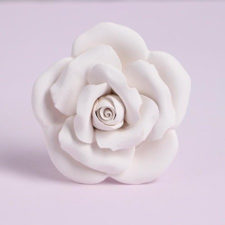 Gypsum "Rosa" paint 6 cv 2.5 ml, brush-2