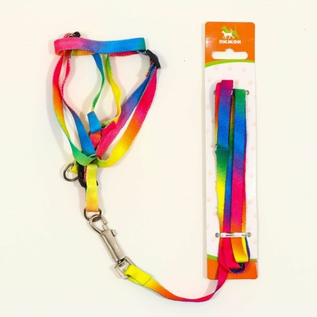 Set "Rainbow", Kapron, leash 120 x 1 cm, fire 24-34 cm, multi-colored-5