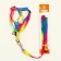 Set "Rainbow", Kapron, leash 120 x 1 cm, fire 24-34 cm, multi-colored