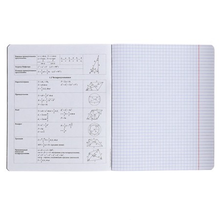 Subject notebook, 48 sheets, cells, geometry, erichkrause "Inscription", cardboard cover of Twin-lak, block offset 100%, information block-4