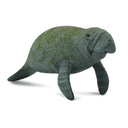 Figure "Lamantin - sea cow", l