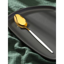Spoon of stainless steel magistro 