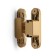 Loop of Lockland hidden installation, 30x110 mm, with 3D regulation, color matte gold