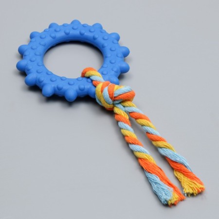 Chewing toy toy with a rope "Ring with a tail", blue-2
