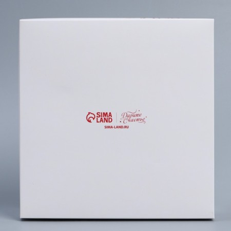 Confectionery box for mousse cakes "Present", 17.8 x 17.8 x 6.5 cm-3