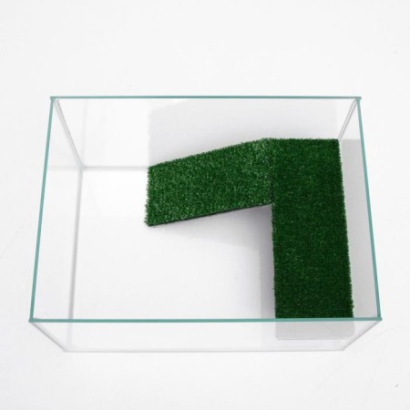 Terrarium for turtles 25 liters, without a lid with a shelf and a ladder, 40 x 29 x 22 cm-3