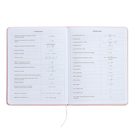 Universal diary for grade 1-11 Fashion Bear, solid cover, artificial leather, foam rubber, liesse, 80 g/m2-9