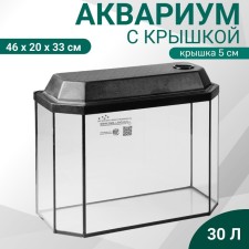 Aquarium 