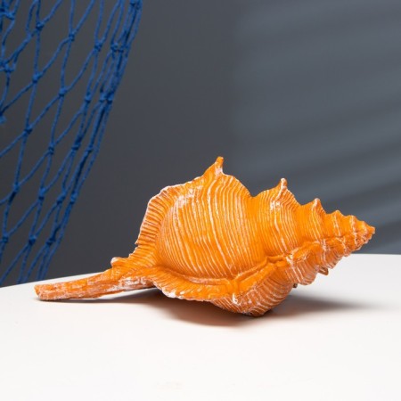 Interior souvenir "shell" 23x11x10cm-3