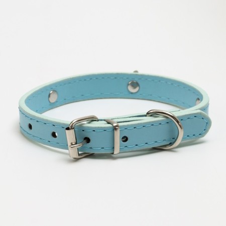 Collar "crown" with metal decor and rhinestones, 36 x 1.4 cm, Osh 24-31, blue-1