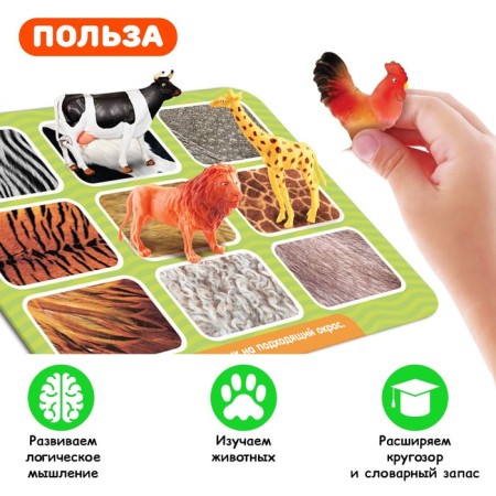 Developing Sorter Set “Study of Animals”, according to the Montessori Methodology-2
