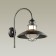 Street lamp IP44 Dante, 1x60W, E27, IP44, brown color