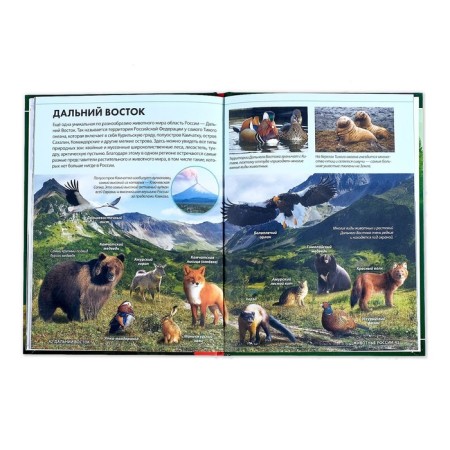 Children's Encyclopedia in solid binding "Animals of Russia", 48 p.-4