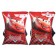 Shards "Cars", children for swimming 20x16 cm, red color