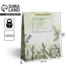 Gift laminated package, packaging, for you, ml 21 x 25 x 8 cm