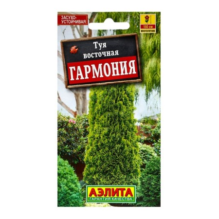 Seeds of flowers thuja eastern "Harmony", c/n, 8 pcs
