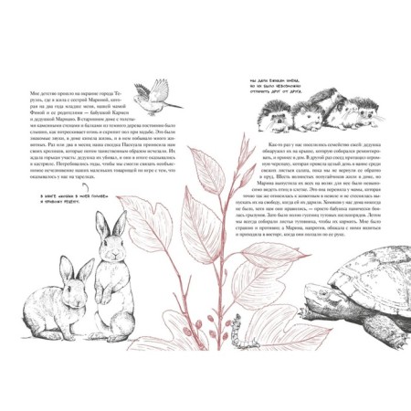 The story of a cat that has changed one life. Recognition of love. Agusty L.-1