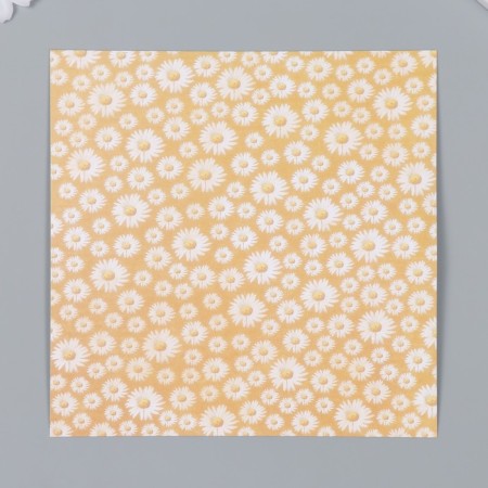 A set of scrapbooking paper 12 sheets 12 designs "Beauty Spring" 160 grams 15.2x15.2 cm-3