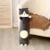 Soft toy-podushka "Cat", 65 cm, color gray color