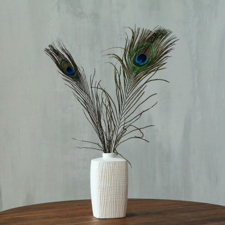 Feather of peacock for decor, set 2 pcs., Size 1 pc. - from 40 to 50 cm-3