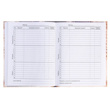Diary for grades 1-4, "kitten", solid cover 7BC, glossy lamination, 48 sheets-4