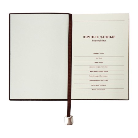 Organizer, B6, 116 sheets, cage, leatherette cover, brown cut, blue-5