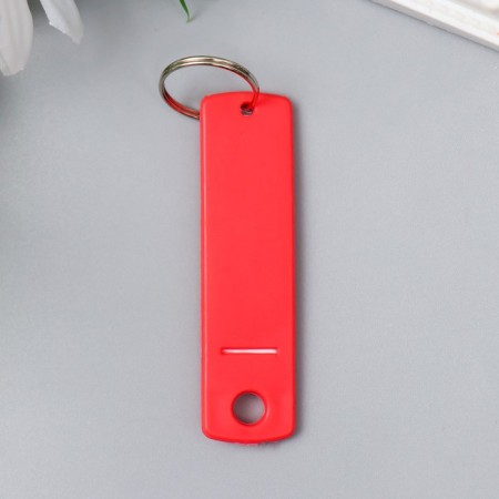 IDDENIFICTOR for keys on the ring plastic mix 6.3x1.7x0.3 cm-2