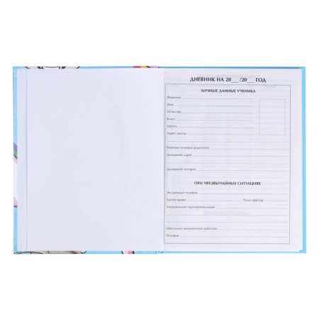 Diary for grades 1-4, "friends", a solid cover 7BC, glossy lamination, 48 sheets-3