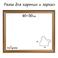 Frame for paintings (mirrors) 40 x 50 x 3.3 cm, plastic, dorothy, gold