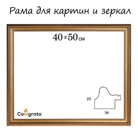 Frame for paintings (mirrors) 40 x 50 x 3.3 cm, plastic, dorothy, gold