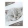 Notepad A6, 40 sheets in the Sleeping Catca, hard cover, offset unit