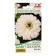 Seeds of Zinnia Dabble Zhara White Odn sat down. Panamerican Ts/P 5pcs