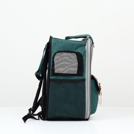 An animal carppet-carrier, 52 x 22 x 41 cm, green-2