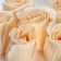 Gift set: A5.80 sheets diary and soap petals "March 8"