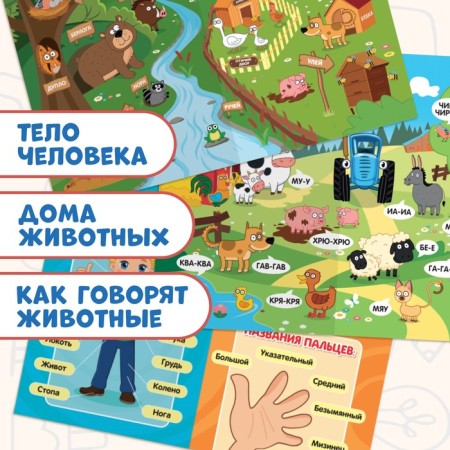 The book "Developing posters", A4, 9 posters, Blue Tractor-4