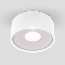 Ceiling light Elektrostandard, Light Led 12 W, 113x1113x52 mm, IP65, white color