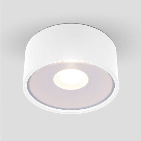 Ceiling light Elektrostandard, Light Led 12 W, 113x1113x52 mm, IP65, white color
