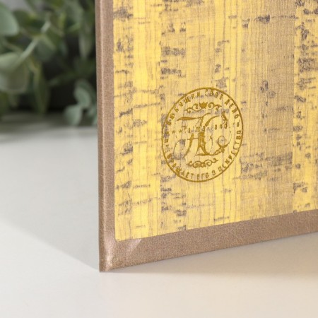 Safe "Peter the first" embossing leather 21x13x5 cm-2