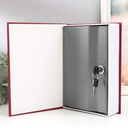 Casket safe Book Plastic, Metal "Dictionary of English" 5.5x15.5x24 cm-1