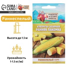 Sugar corn seeds 