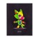 Notebook object neon animals Calligrata Top 48l Cl Chemistry, regional charts, neon print, offset