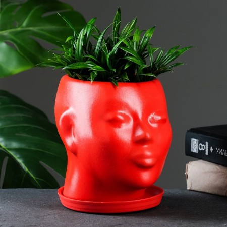Pot - Organizer "Head" Red, 1.3 l / 16x16x14cm-1