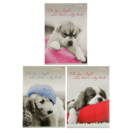 A4 notebook, 80 sheets in the cage "puppies. Contrasts", cover Cross -coated cardboard, hybrid varnish, mix