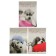 A4 notebook, 80 sheets in the cage "puppies. Contrasts", cover Cross -coated cardboard, hybrid varnish, mix