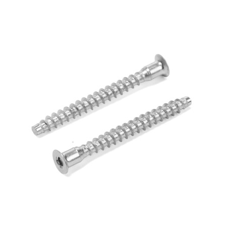 Eurovint 5x50 tundra with a secret head, 10pcs.